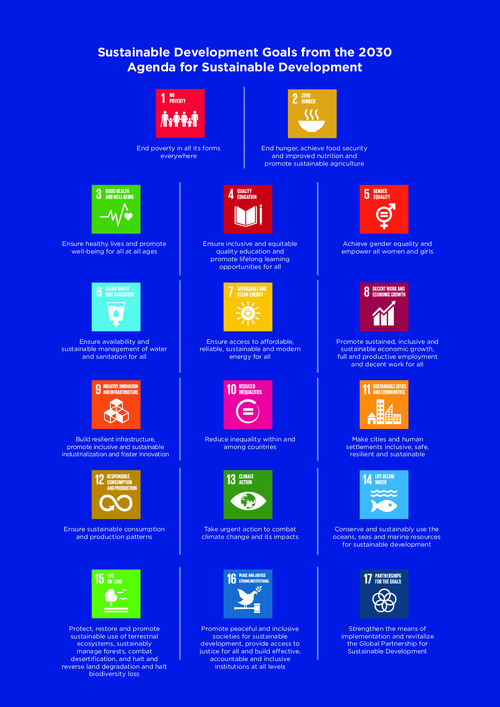 SDG GOALS